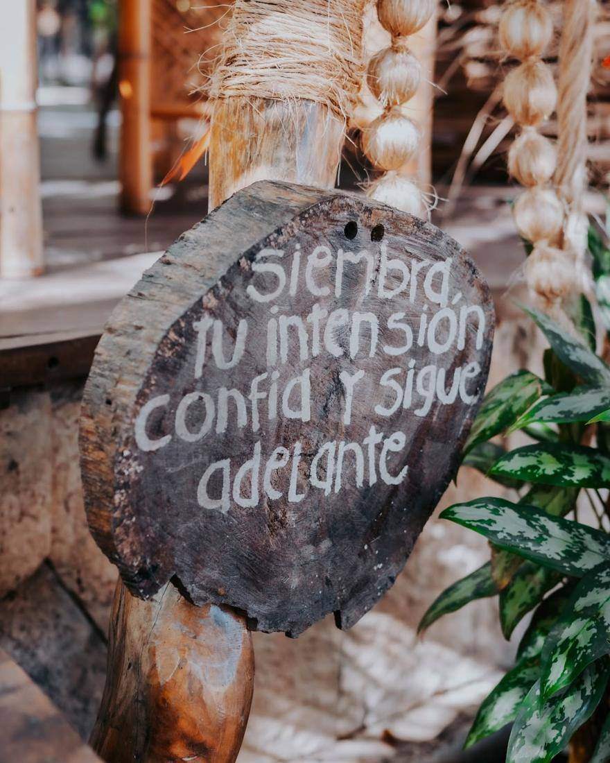 Letrero: Siembra tu intención, confía y sigue adelante